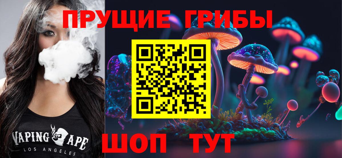 Галлюциногенные грибы прущие грибы  Вход с VPN  Псилоцибиновые грибы мицелий  где купить наркотик  Дербент 